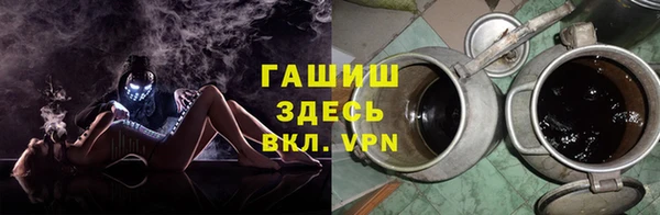 прущие грибы Алзамай