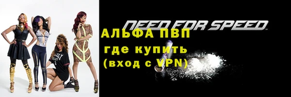 соль ск Няндома
