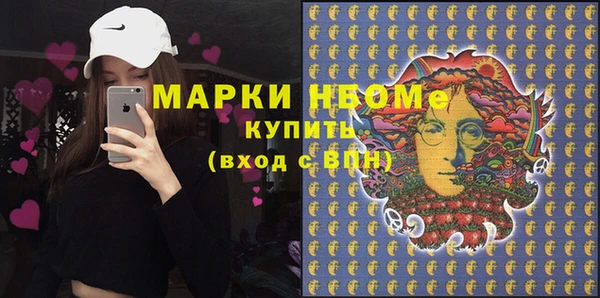 соль ск Няндома