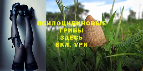 гидропоника Абаза