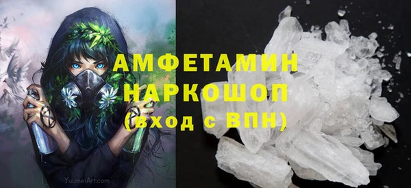прущие грибы Алзамай