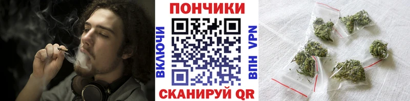 Бошки Шишки семена  как найти   Новоалександровск 